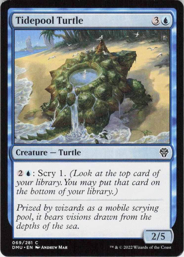 Tidepool Turtle #69
