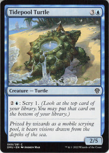 Tidepool Turtle #69