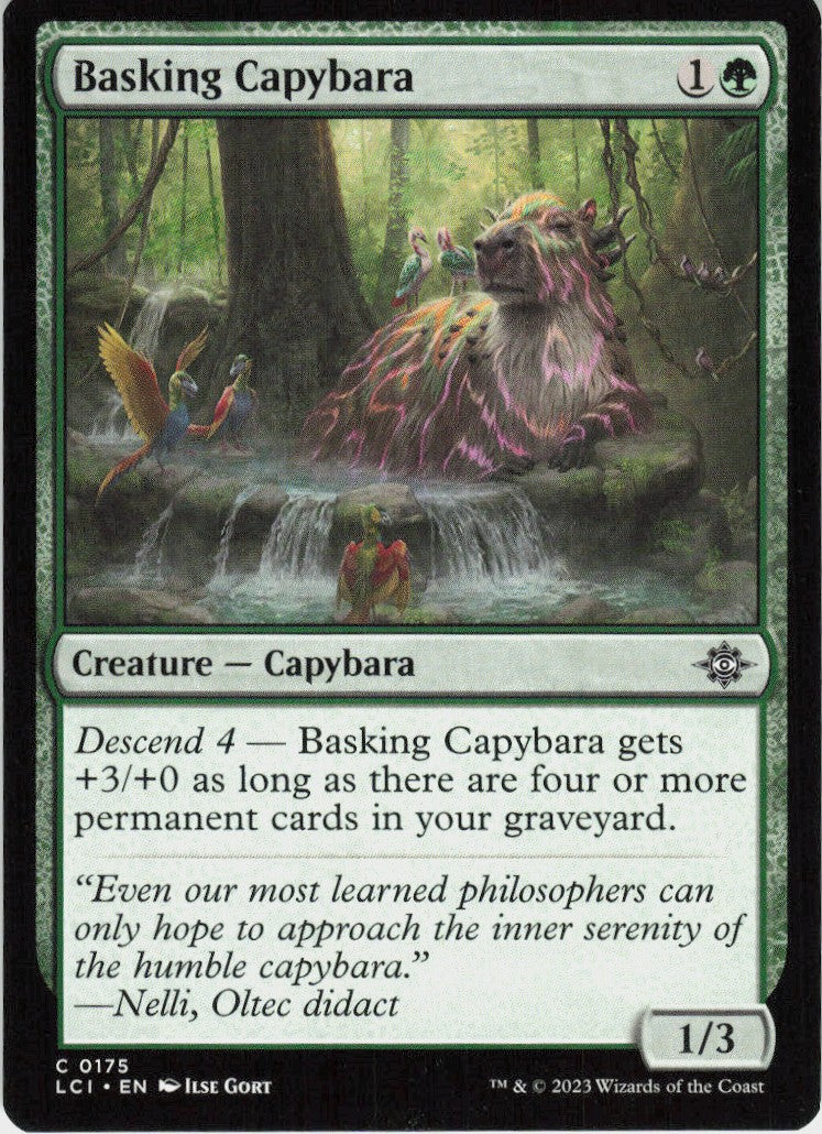 Basking Capybara #175