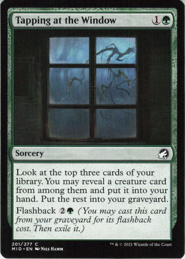Tapping at the Window #201