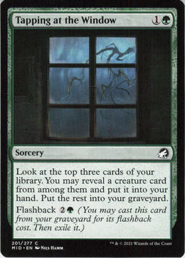 Tapping at the Window #201