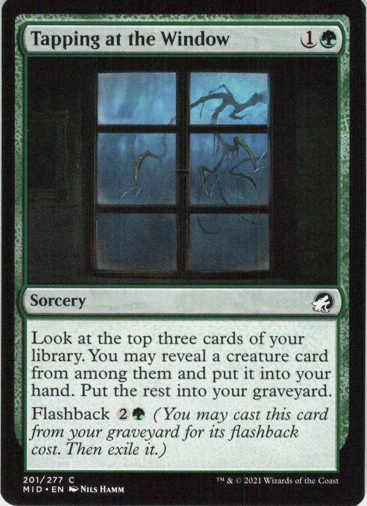 Tapping at the Window #201