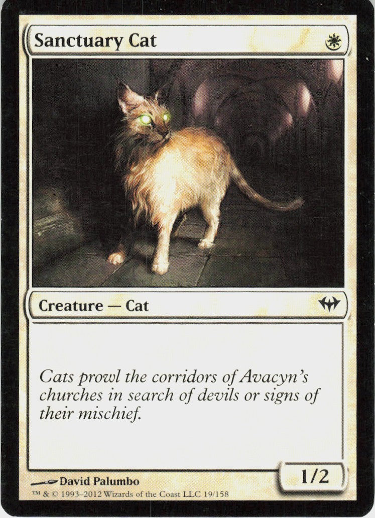 Sanctuary Cat #19