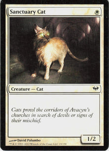 Sanctuary Cat #19