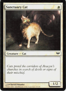 Sanctuary Cat #19