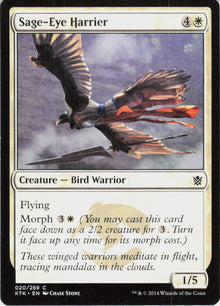 Sage-Eye Harrier #20
