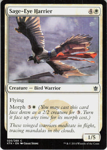 Sage-Eye Harrier #20