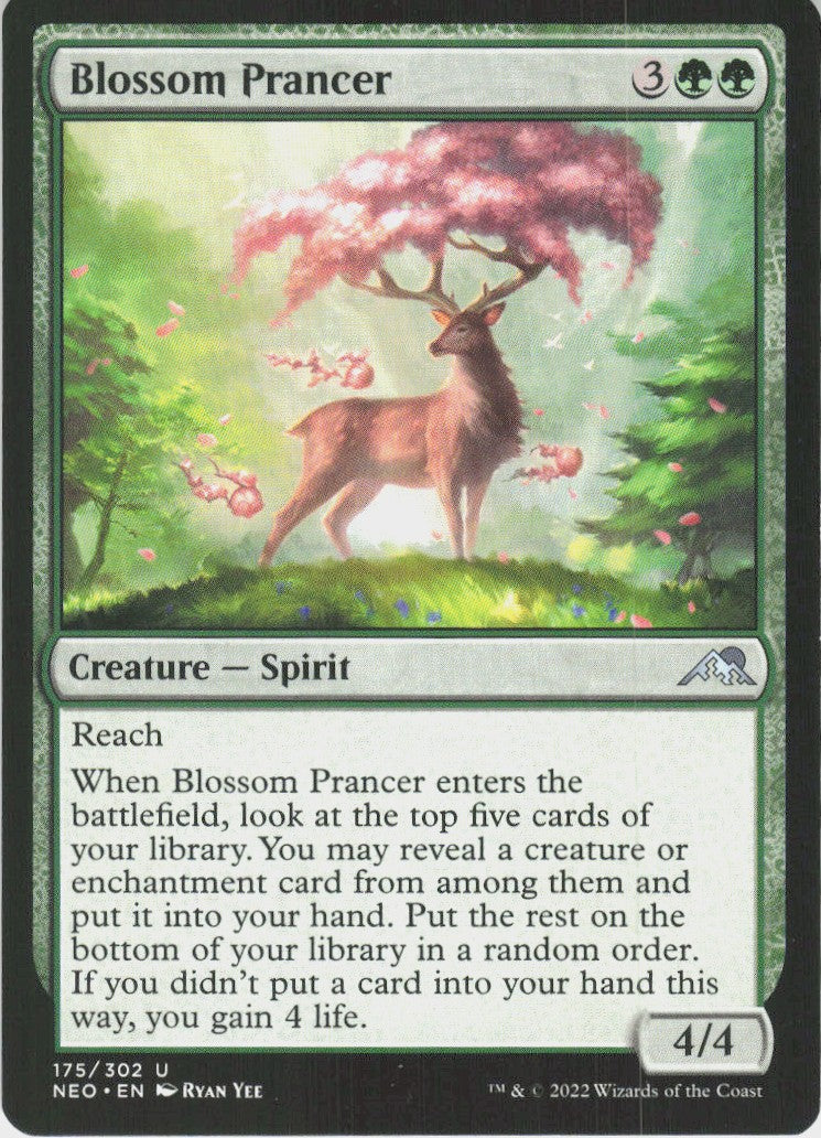Blossom Prancer #175