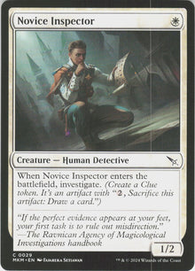 Novice Inspector #29