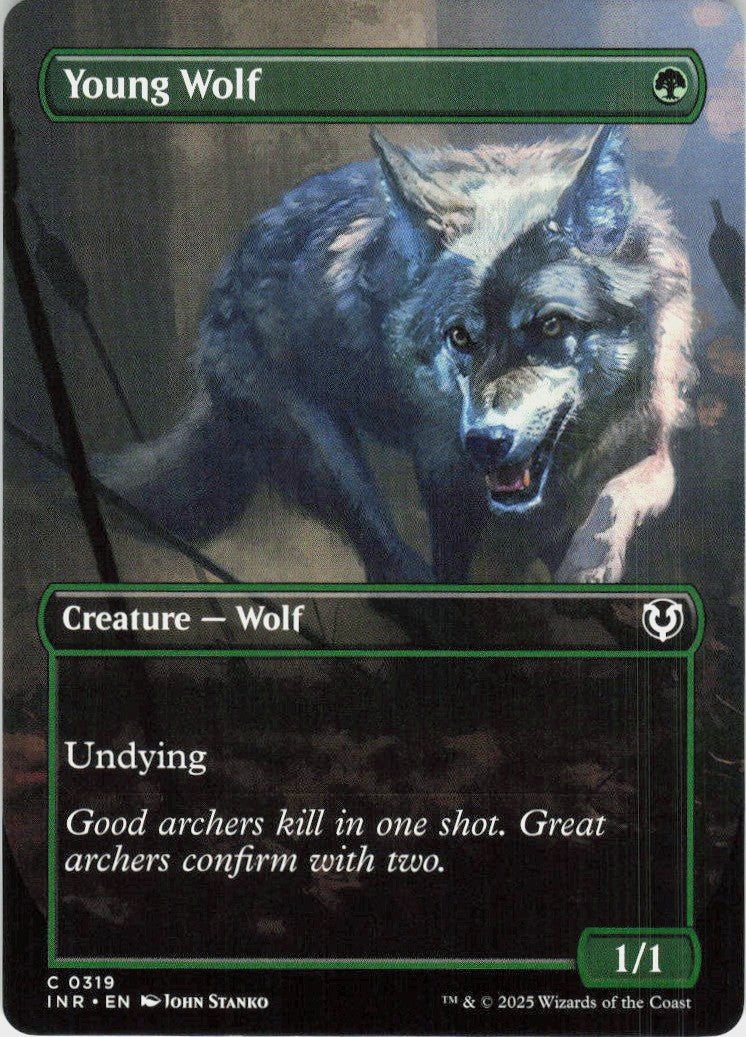 Young Wolf #319