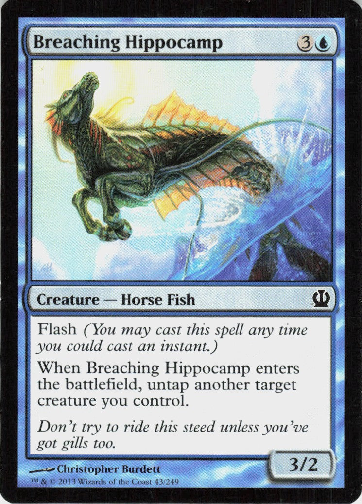 Breaching Hippocamp #43
