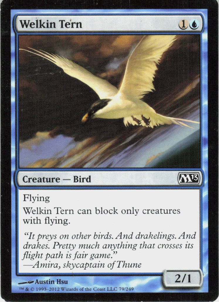 Welkin Tern #79