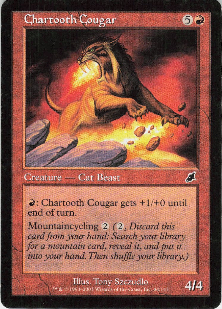 Chartooth Cougar #84