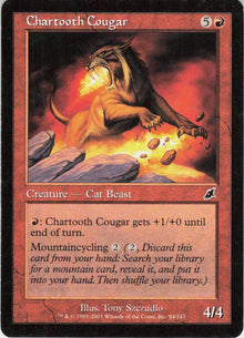 Chartooth Cougar #84