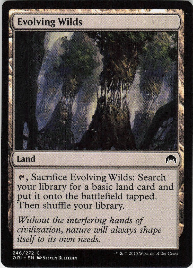Evolving Wilds #246