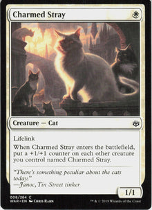 Charmed Stray #8