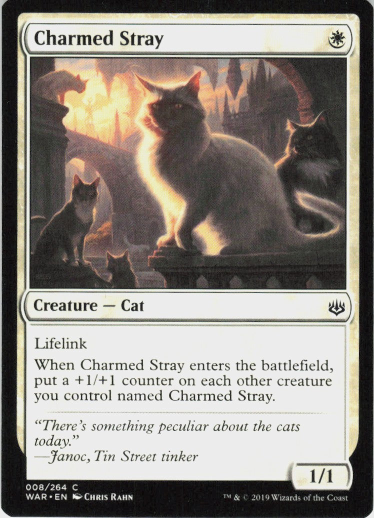 Charmed Stray #8