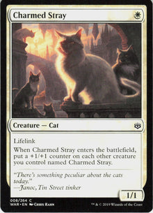 Charmed Stray #8