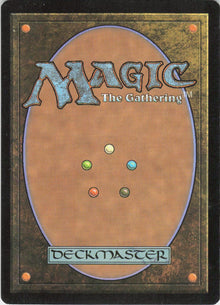 Traveler's Amulet #221