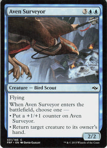 Aven Surveyor #31