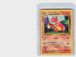 Charmeleon #24