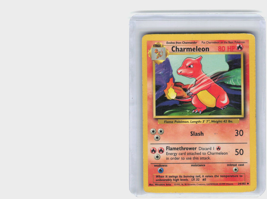 Charmeleon #24