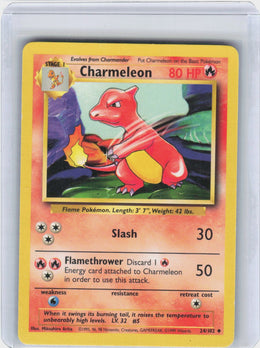 Charmeleon #24