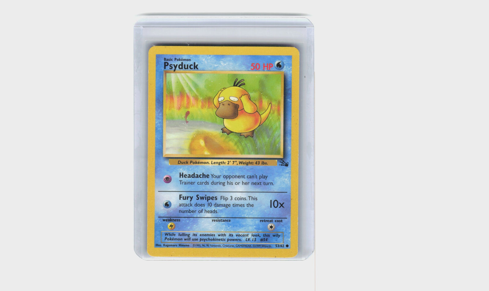 Psyduck #53