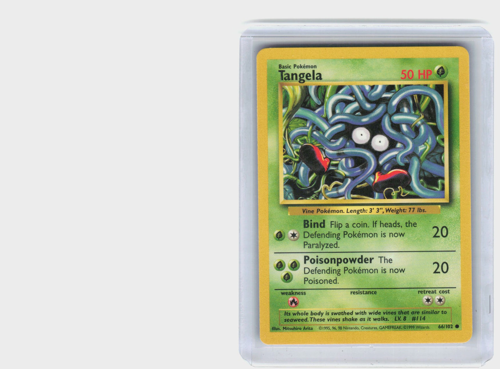 Tangela #66