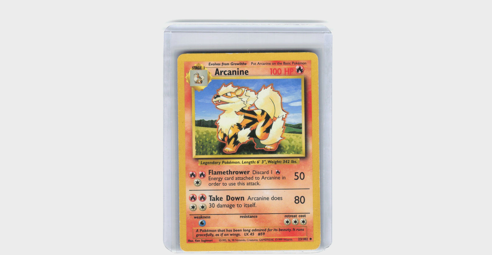 Arcanine #23