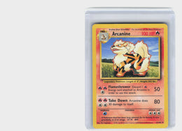 Arcanine #23