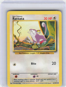 Rattata #61