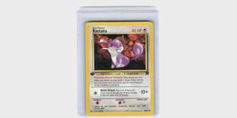Rattata #66