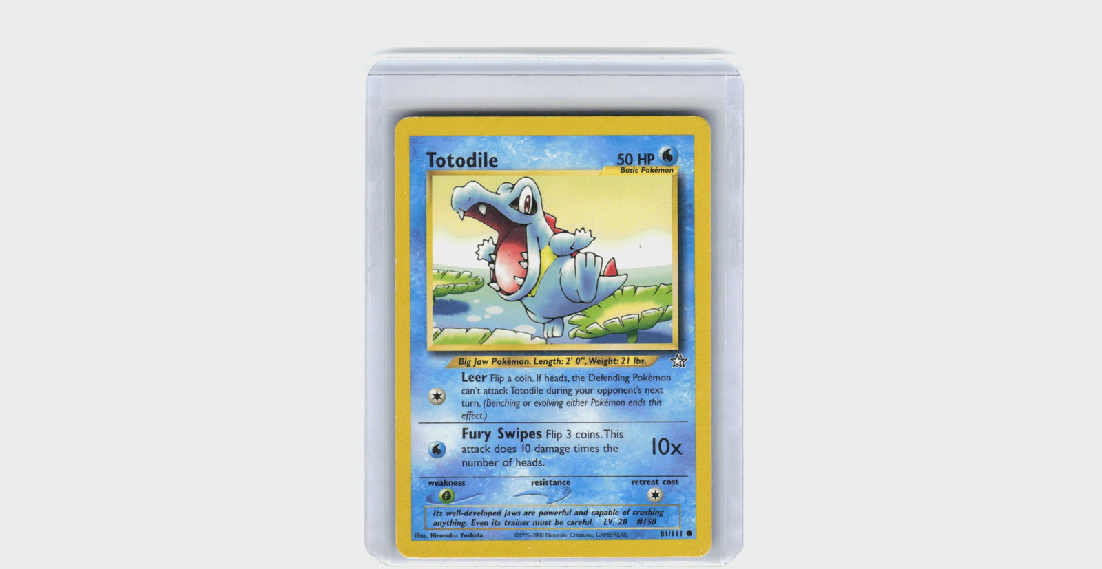 Totodile #81