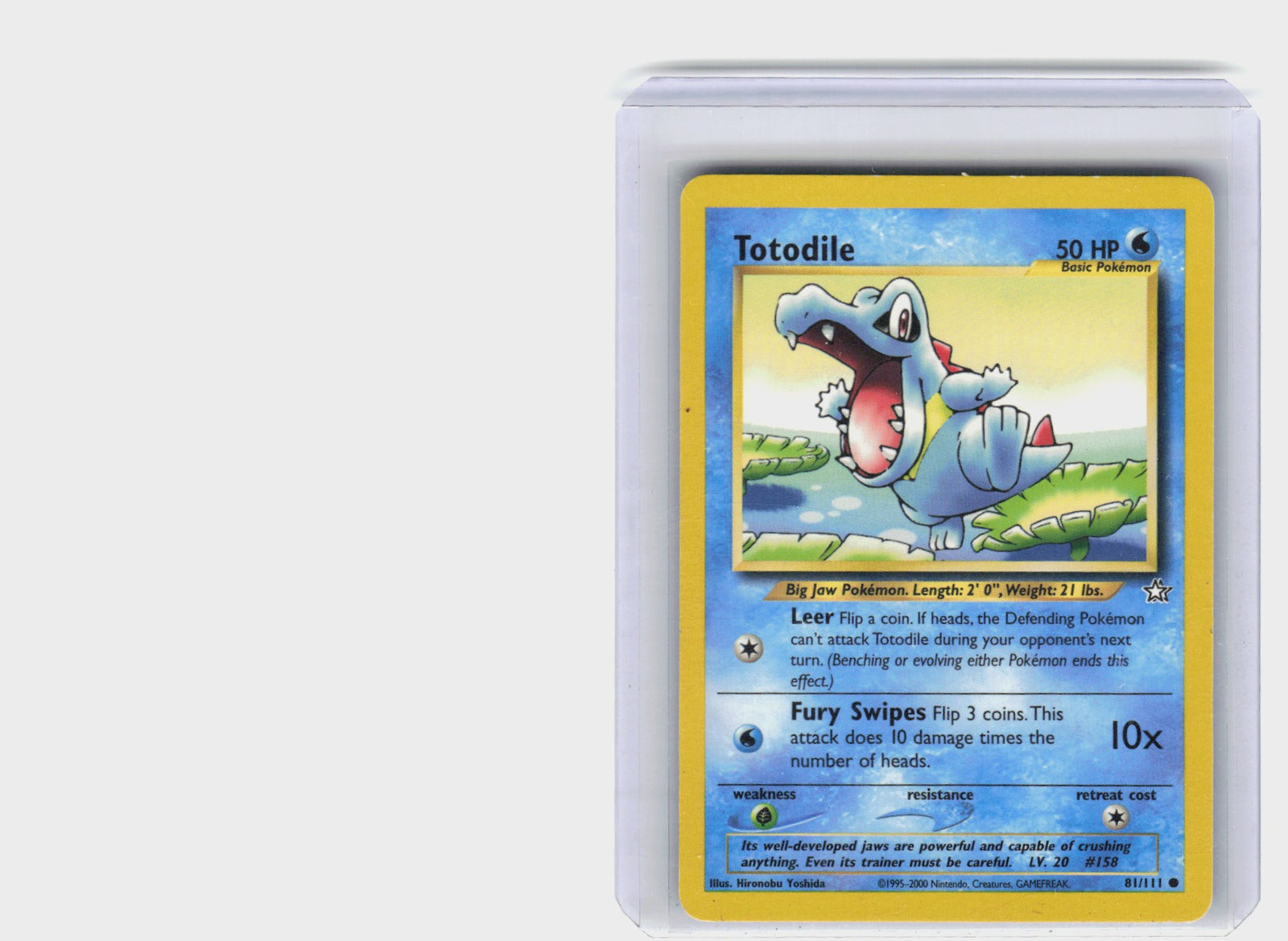 Totodile #81