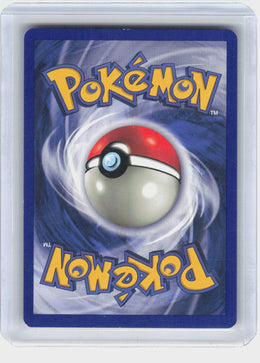 Geodude #47