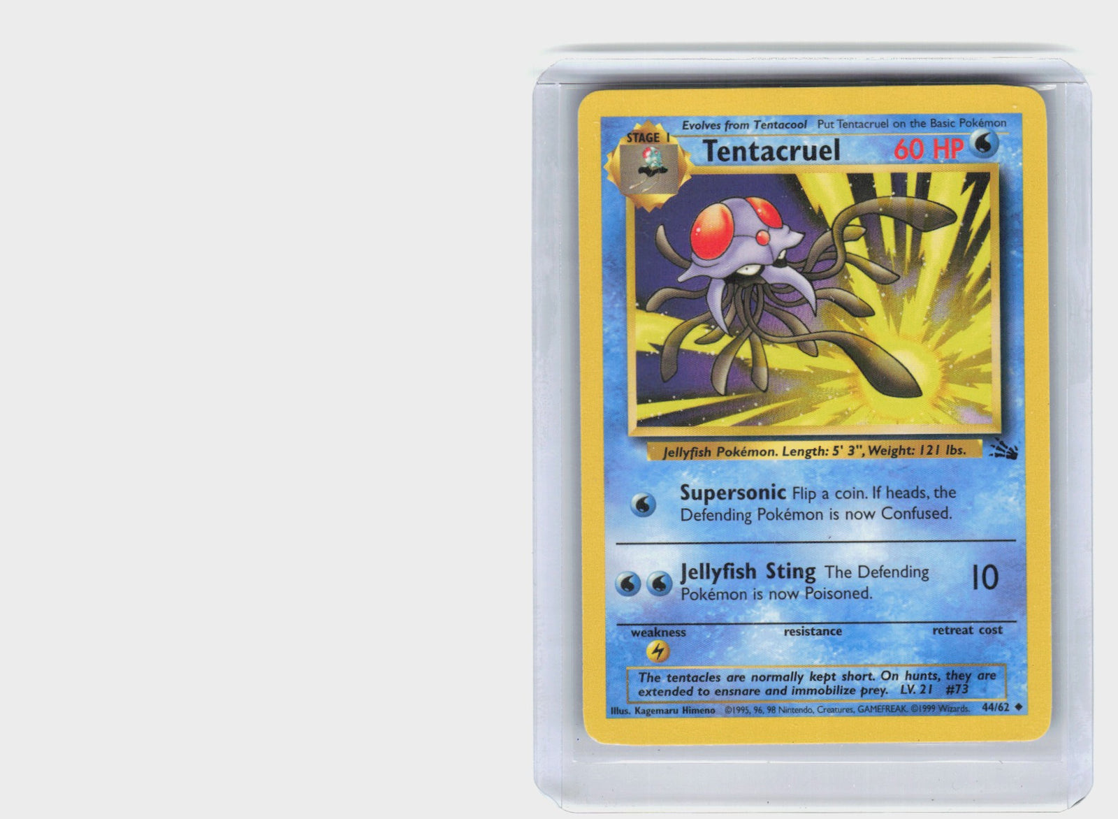 Tentacruel #44