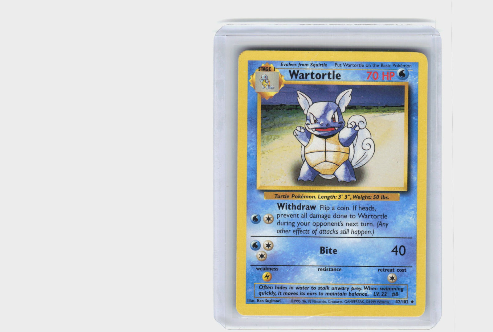 Wartortle #42