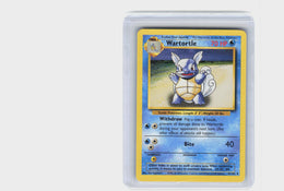 Wartortle #42