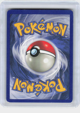Geodude #47