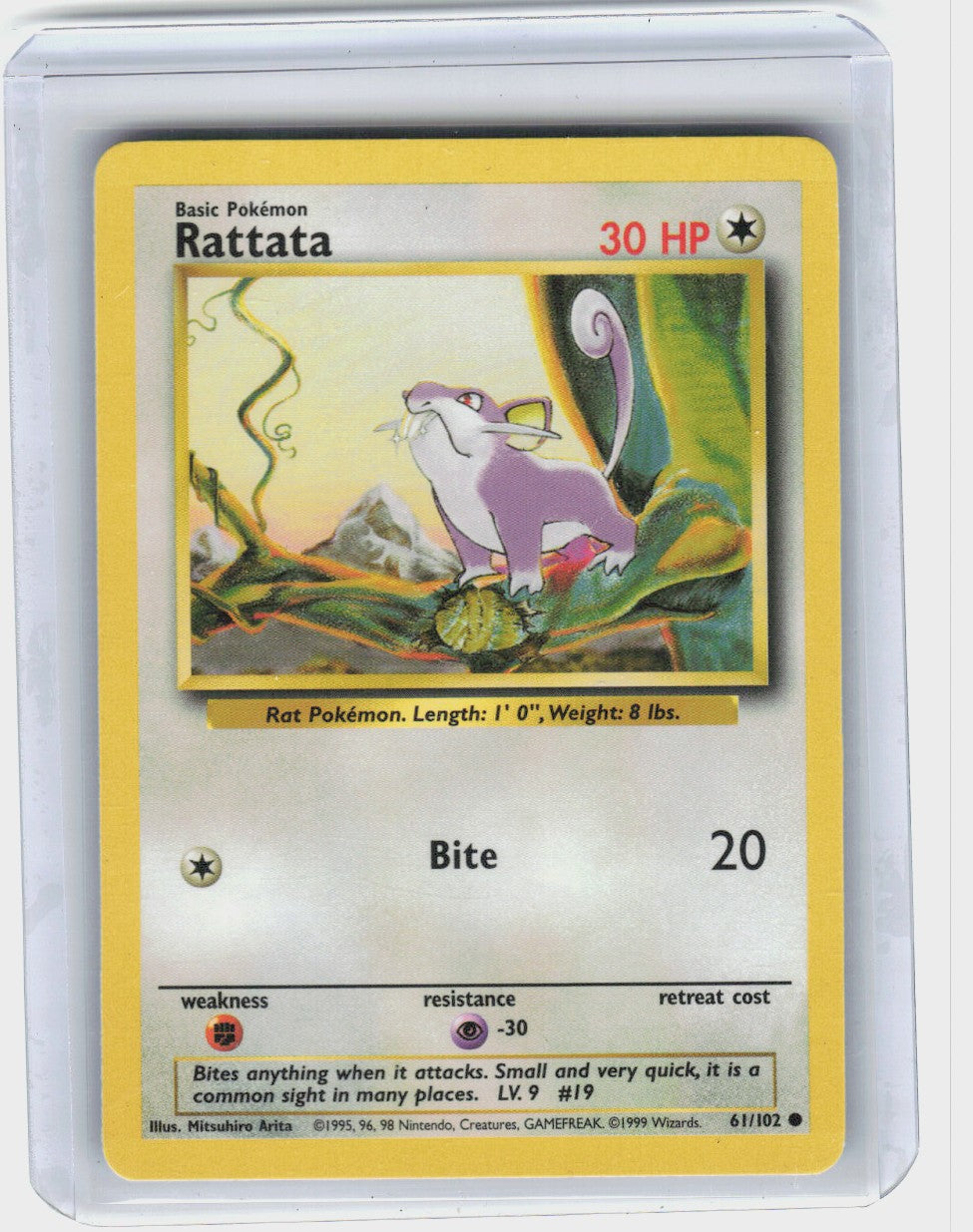 Rattata #61