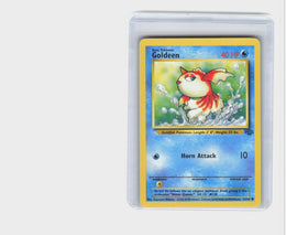 Goldeen #53