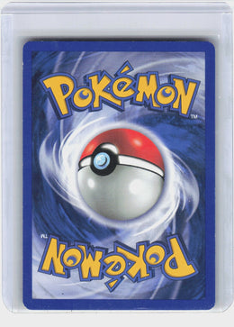 Misty's Horsea #86