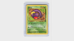 Ekans #46