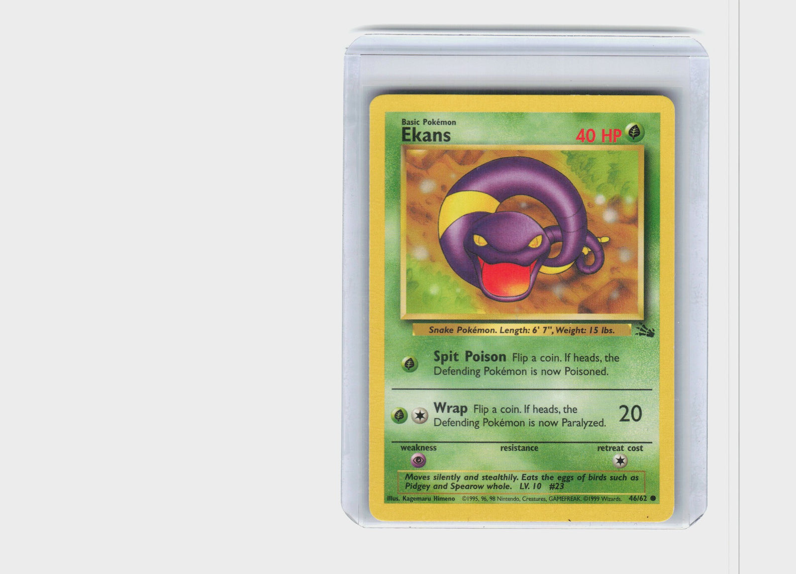 Ekans #46