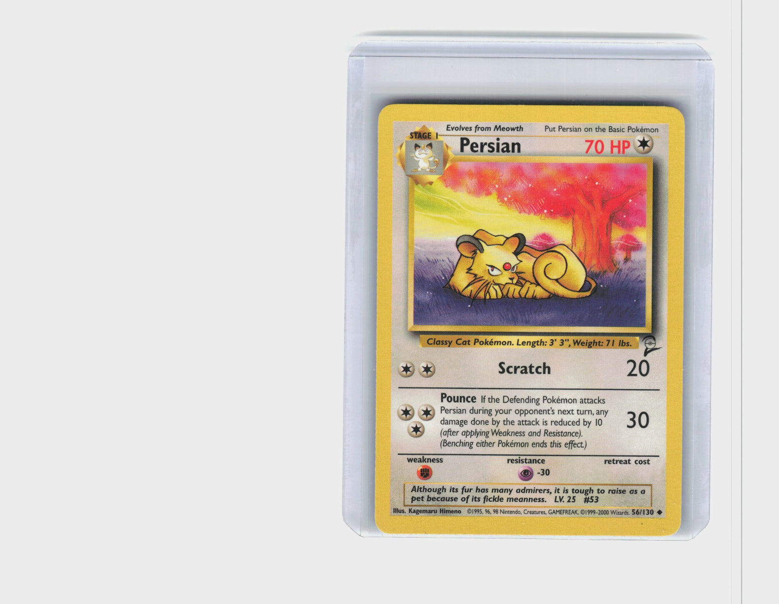 Persian #56