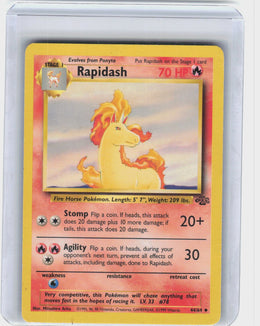 Rapidash #44