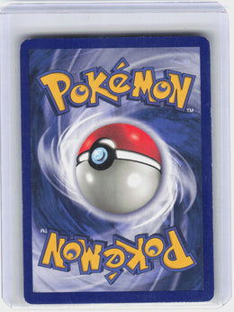 Raticate #40