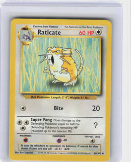 Raticate #40