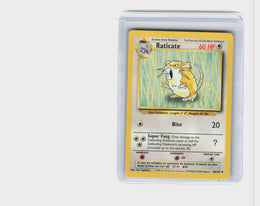 Raticate #40